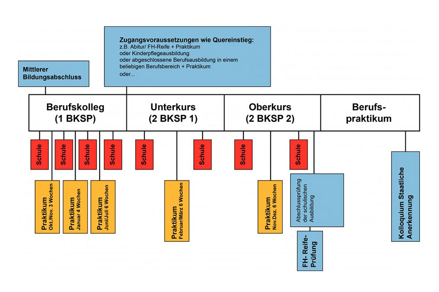 efs-grafik-ausbildungsstruktur.jpg